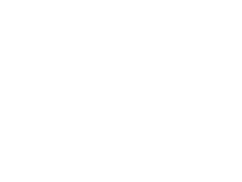 Zeebot